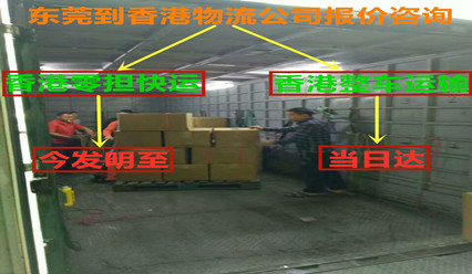 東莞到香港物流一站式解決方案,門到門運輸服務(wù)